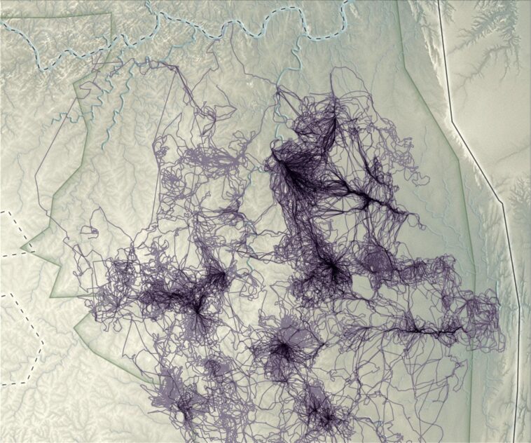 Wild Data : Comment les capteurs animaux révolutionnent l'observation de la Terre