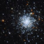 SciTechDaily