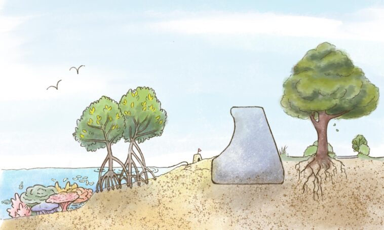 Décryptage des défenses hybrides : le projet japonais pour des rivages durables SciTechDaily