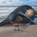 Des scientifiques découvrent un ancien « lézard poisson géant » de 82 pieds de long au Royaume-Uni SciTechDaily