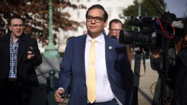 George Santos dit qu'il se présente dans un autre district parce qu'il « meurt d'envie d'avoir un poulailler et des trucs comme ça »