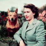 La famille royale célèbre l'anniversaire de la reine Elizabeth II avec quelques photographies