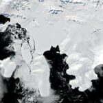 La plate-forme de glace Wilkins au bord alors que les scientifiques s'efforcent de comprendre