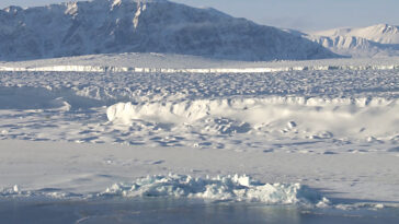 La plus grande langue de glace flottante du Groenland est en train de fondre