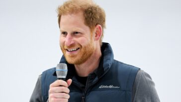 Le prince Harry fait une apparition vidéo surprise pour parler de tourisme responsable