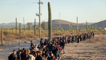 Les républicains de l'Arizona votent oui pour un projet de loi qui légaliserait le meurtre de migrants soupçonnés d'intrusion