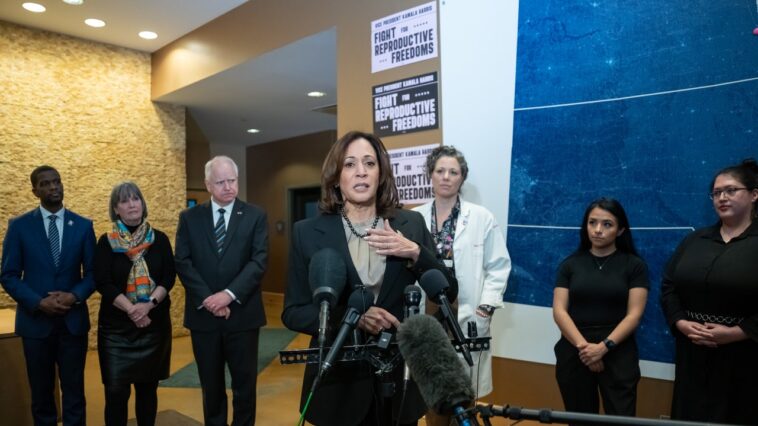 Les républicains tentent – ​​et échouent – ​​de nettoyer le gâchis de l’avortement