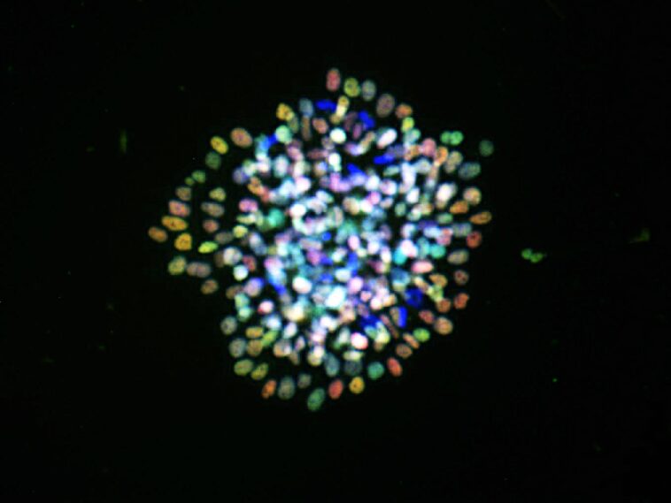 SciTechDaily