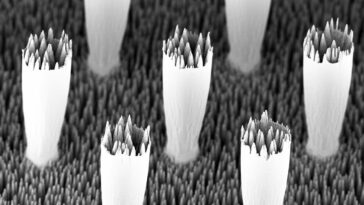 Pillars on Black Silicon Surface