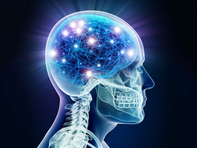 Remettre en question le statu quo : des chercheurs découvrent des origines neuronales uniques dans le cerveau humain SciTechDaily