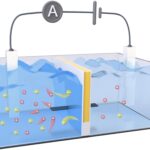 Révolutionner les énergies renouvelables : une batterie au sel innovante récupère efficacement l’énergie osmotique SciTechDaily