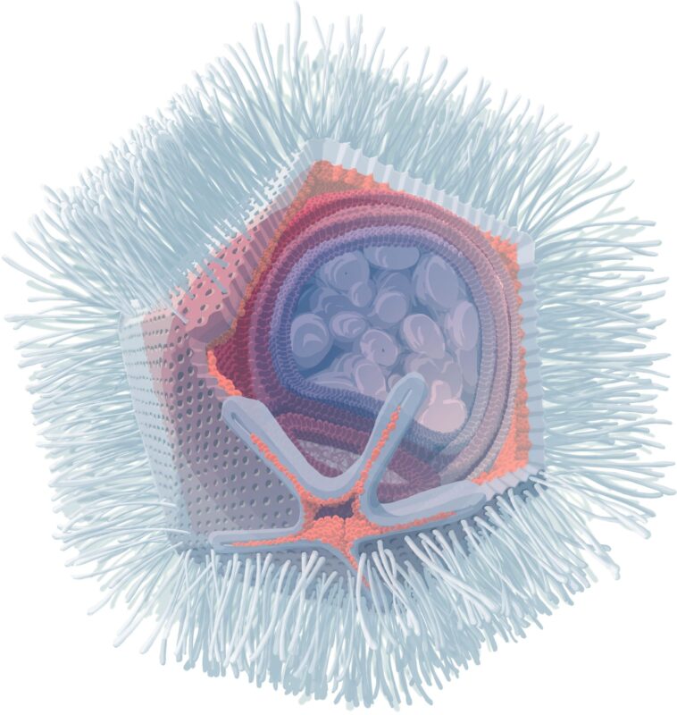 SciTechDaily
