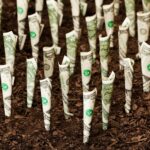 Alarme économique : la perte de la nature entraîne un prix plus élevé que prévu SciTechDaily