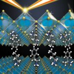 SciTechDaily