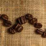 Des scientifiques séquencent le génome de l’Arabica, ouvrant ainsi la voie à un café résilient au climat SciTechDaily