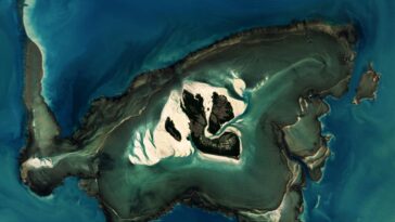 Extrêmes de marée : aperçus écologiques du récif dynamique de Montgomery en Australie