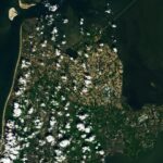 Frénésie des tulipes : le spectacle printanier coloré des Pays-Bas capturé depuis l'espace SciTechDaily