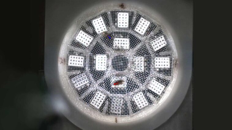 SciTechDaily