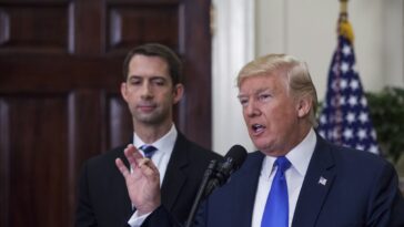 La liste des vice-présidents potentiels de Donald Trump comprend désormais Tom Cotton, l'homme qui a appelé à une justice vigilante contre les manifestants et à arracher la peau des gens : rapport