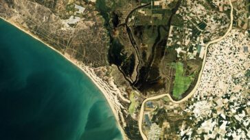 Les pluies printanières suscitent une renaissance écologique dans le parc national de Doñana