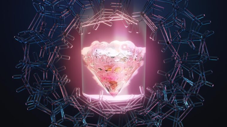 SciTechDaily