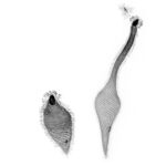 Contourner les règles de la biologie : des scientifiques de Stanford dévoilent un origami cellulaire chez des prédateurs microscopiques SciTechDaily