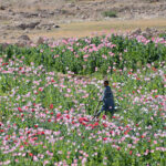 cc Mark Stroud, modified, https://flickr.com/photos/markstroud/7951679578/in/photolist-8PLWnK-ej8V3P-9EK4Ns-81MRRf-81K1G6-bs9TR3-62jWoe-drhG2X-62pdqA-62iAer-bs9TSU-7f9Jof-62nPWE-62iyGR-81Na57-bF4N7g-81MQdf-bF4NeT-7PXF82-7ujqo6-81MQTm-81MRBm-81MRi7-bF4Ndi-9CZLjW-76Lox8-d7Efjf-htm4Jr-9EG9jk-62nTzJ-81N9Qq-62pbXm-62jVre-5Zsnm8-5ZwCnW-7G91jC-62nNAS-81N9io-5ZsAWx-p7Sp3M-7G52MV-q4rzxx-5ZwKR3-5BWeE3-d7EriL-2pf9F1x-d7EtLQ-d7Ev4o-5BWeGu-5GgxxS