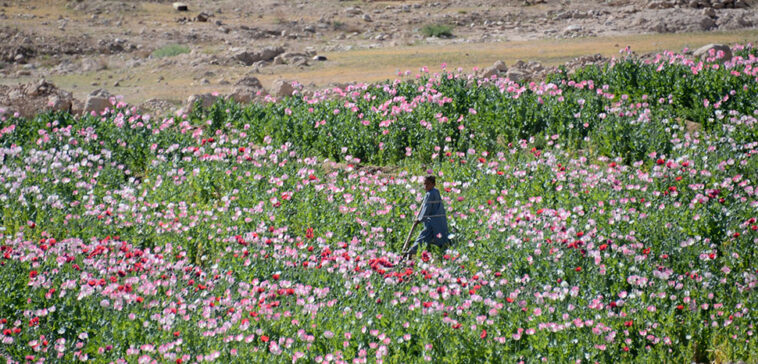 cc Mark Stroud, modified, https://flickr.com/photos/markstroud/7951679578/in/photolist-8PLWnK-ej8V3P-9EK4Ns-81MRRf-81K1G6-bs9TR3-62jWoe-drhG2X-62pdqA-62iAer-bs9TSU-7f9Jof-62nPWE-62iyGR-81Na57-bF4N7g-81MQdf-bF4NeT-7PXF82-7ujqo6-81MQTm-81MRBm-81MRi7-bF4Ndi-9CZLjW-76Lox8-d7Efjf-htm4Jr-9EG9jk-62nTzJ-81N9Qq-62pbXm-62jVre-5Zsnm8-5ZwCnW-7G91jC-62nNAS-81N9io-5ZsAWx-p7Sp3M-7G52MV-q4rzxx-5ZwKR3-5BWeE3-d7EriL-2pf9F1x-d7EtLQ-d7Ev4o-5BWeGu-5GgxxS