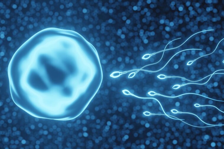 Des théories de longue date remises en question : le coût énergétique de la reproduction animale est bien plus élevé qu'on ne le pensait auparavant SciTechDaily