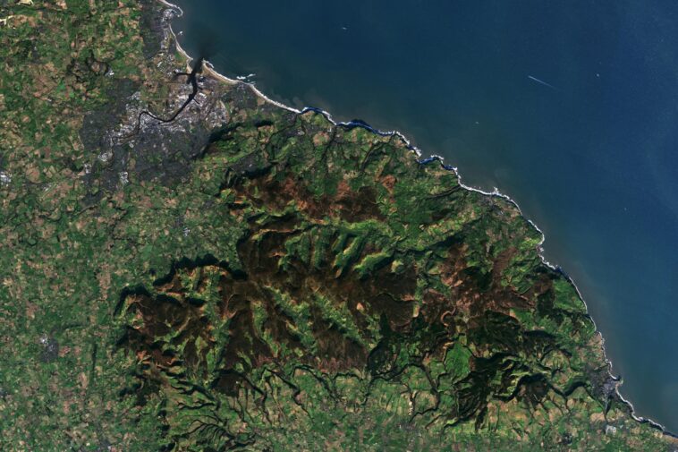 Dévoilement de secrets intemporels : stockage de carbone dans les majestueuses landes du Yorkshire Dévoilement de secrets intemporels : stockage de carbone dans les majestueuses landes du Yorkshire