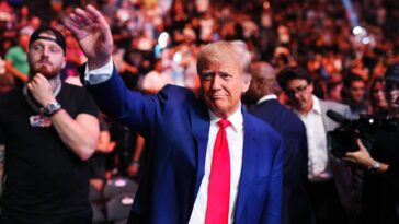 Donald Trump a rejoint TikTok samedi et compte déjà des millions de followers