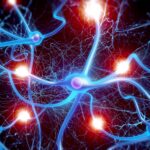 Le cerveau des femmes possède davantage de cellules « anciennes », selon une étude sur la maladie d'Alzheimer SciTechDaily