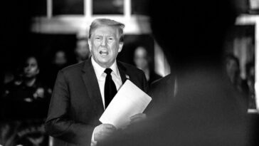 Le cycle post-condamnation de Trumpworld
