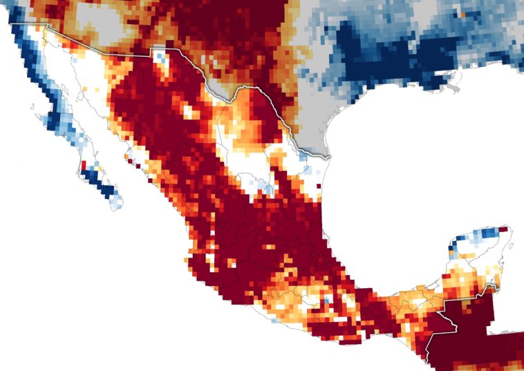 Les cartes d’épuisement des eaux souterraines révèlent les profondeurs de la sécheresse « extrême » et « exceptionnelle » au Mexique Les cartes d’épuisement des eaux souterraines révèlent les profondeurs de la sécheresse « extrême » et « exceptionnelle » au Mexique