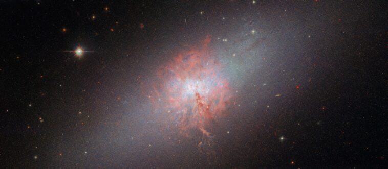 Plongée profonde de Hubble dans une galaxie étoilée : exploration du four stellaire de NGC 5253 SciTechDaily