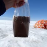 Protecteurs de la glace ? D’étranges virus géants découverts sur la calotte glaciaire du Groenland Protecteurs de la glace ? D’étranges virus géants découverts sur la calotte glaciaire du Groenland