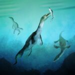 Redéfinir l'évolution marine : le plus ancien fossile de reptile marin de l'hémisphère sud découvert en Nouvelle-Zélande SciTechDaily