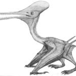 Un géant jurassique révélé : un fossile massif de ptérosaure découvert dans l'Oxfordshire, au Royaume-Uni SciTechDaily