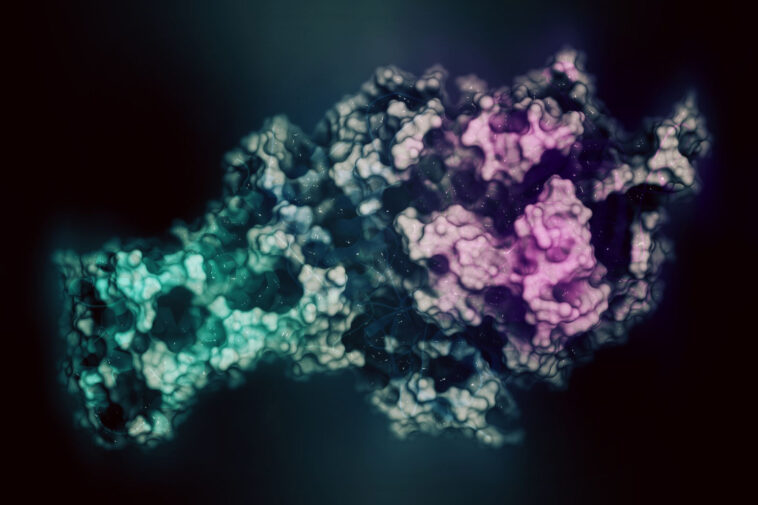 Un nouvel algorithme améliore les performances des enzymes en exploitant l’histoire de l’évolution SciTechDaily