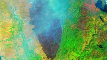 De l'étincelle au spectacle : l'incendie d'un parc en Californie dépasse celui de Los Angeles en quelques jours