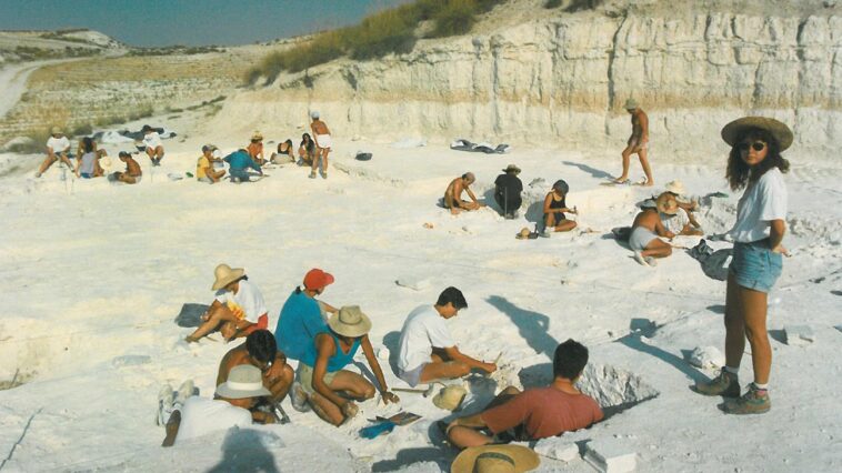 Découverte des plus anciens fossiles humains d'Europe : des restes vieux de 1,3 million d'années remettent en cause les précédentes théories sur la migration European Hominids Route