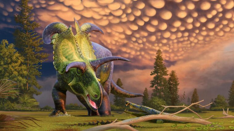 Découvrez Lokiceratops : un nouveau dinosaure doté de cornes spectaculaires en forme de lame SciTechDaily