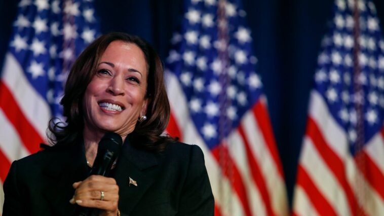 Des centaines de personnes se sont rassemblées pour soutenir Kamala Harris dans une enclave de Floride qui n'a pas voté pour un démocrate depuis 2000