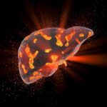 SciTechDaily