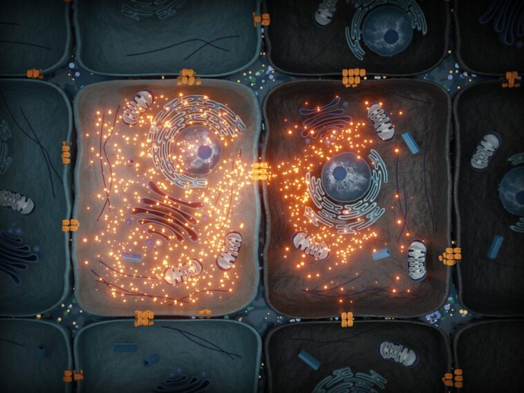 Dévoiler les secrets de la communication cellulaire : une nouvelle avancée a de vastes implications médicales SciTechDaily