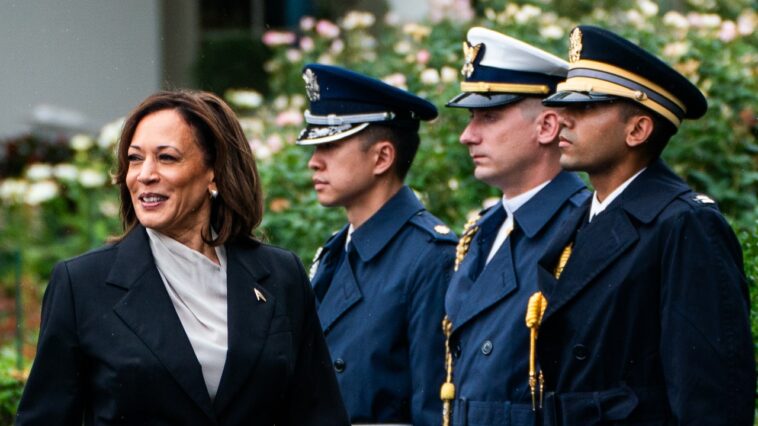 Le Parti républicain de Trump oscille et rate ses objectifs avec des attaques désespérées contre Kamala Harris Le Parti républicain de Trump oscille et rate ses objectifs avec des attaques désespérées contre Kamala Harris