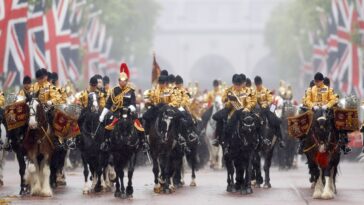 Le cheval du roi Charles a mordu un touriste. (Pour être juste envers le cheval, il est aussi garde du corps.)
