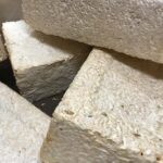 Les frontières de l'ingénierie fongique : la mycotecture de la NASA pour les habitats lunaires et martiens SciTechDaily