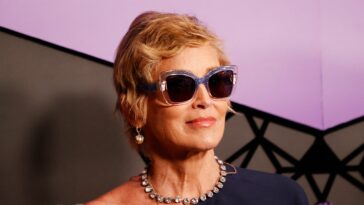 Sharon Stone a perdu ses économies de 18 millions de dollars après une hémorragie cérébrale