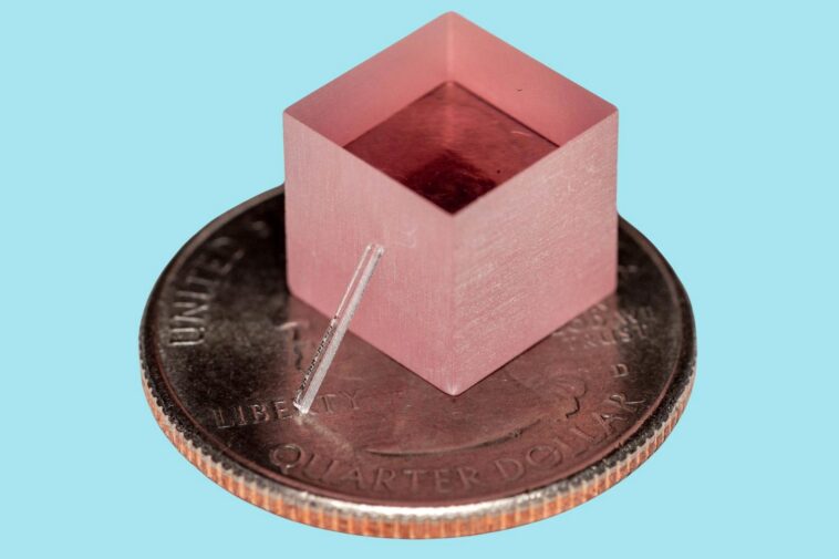 SciTechDaily